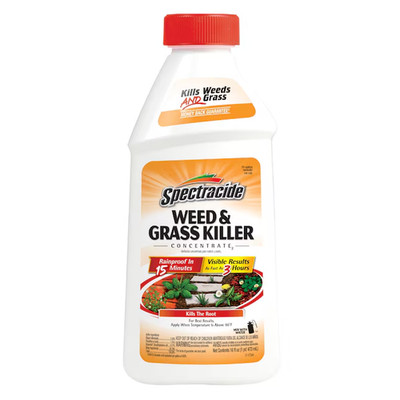 Spectracide Concentrate 16.0 -oz Concentrate Weed and Grass Killer