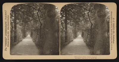 Addisons Walk, Oxford, England Old Photo
