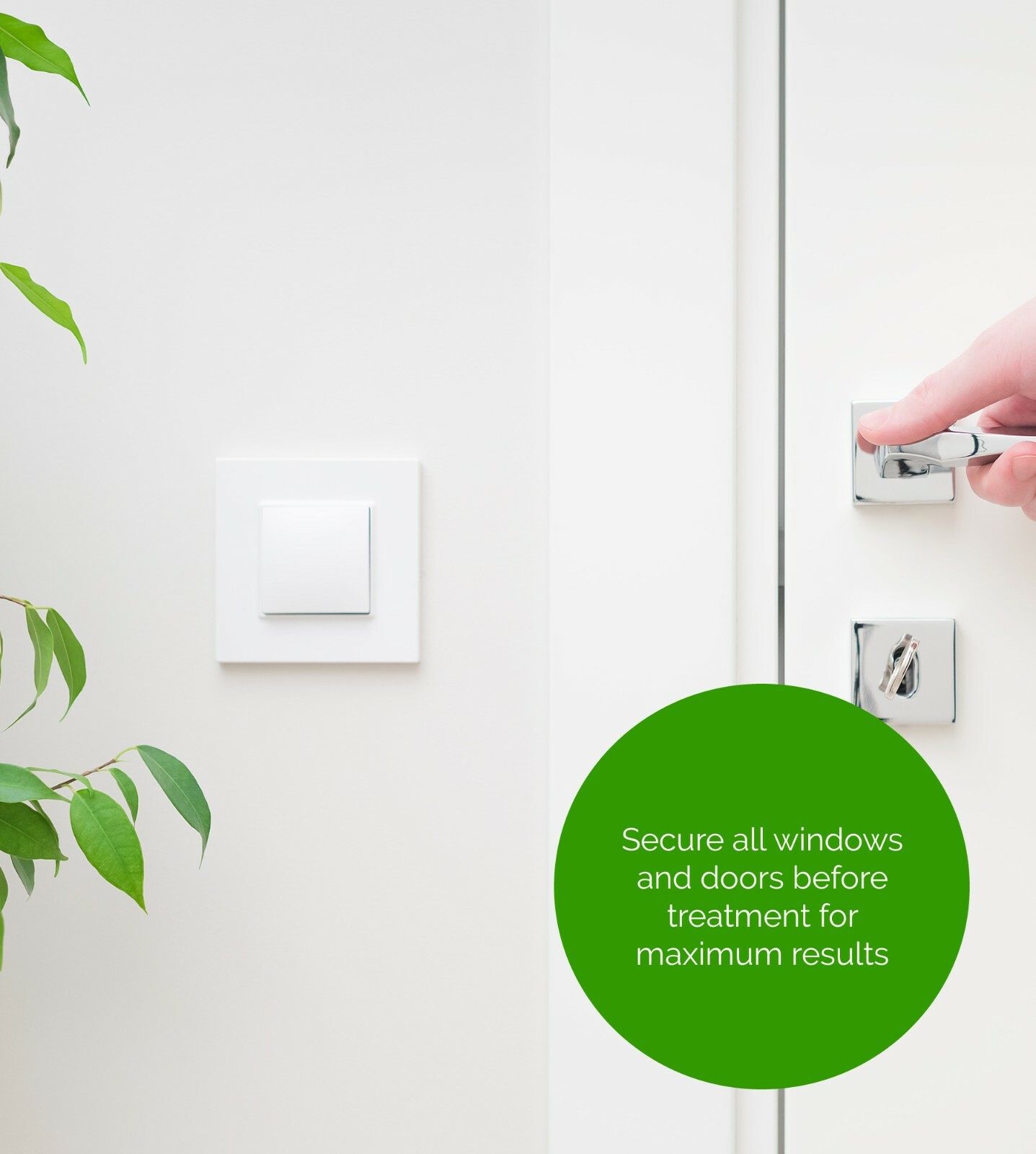 Xterminate Bed Bug Killer Spray & Smoke Foggers Pest Kit, Treatment for