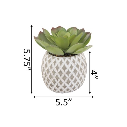 Flora Bunda Artificial Succulent in 5" Cement Pineapple Planter Pot - Picture 3 of 3