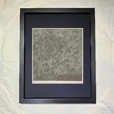 Hana Storchová "Brízy" CUSTOM FRAMED Art