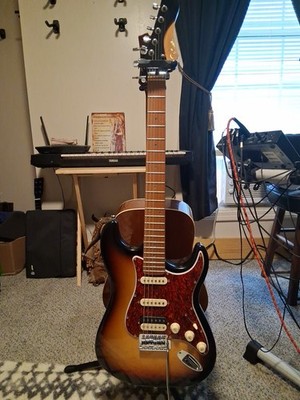 Vicer S Stratocaster Guitar Brand New