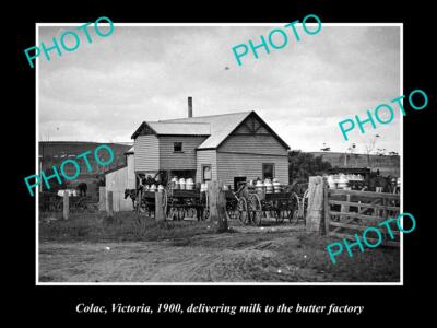 OLD POSTCARD SIZE PHOTO OF COLAC VICTORIA MILK AT THE BUTTER FACTORY c1900