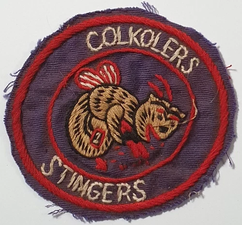 US Navy Marines HMM- 365 COLKOLERS STINGERS Vietnam War Patch Badge USA Military