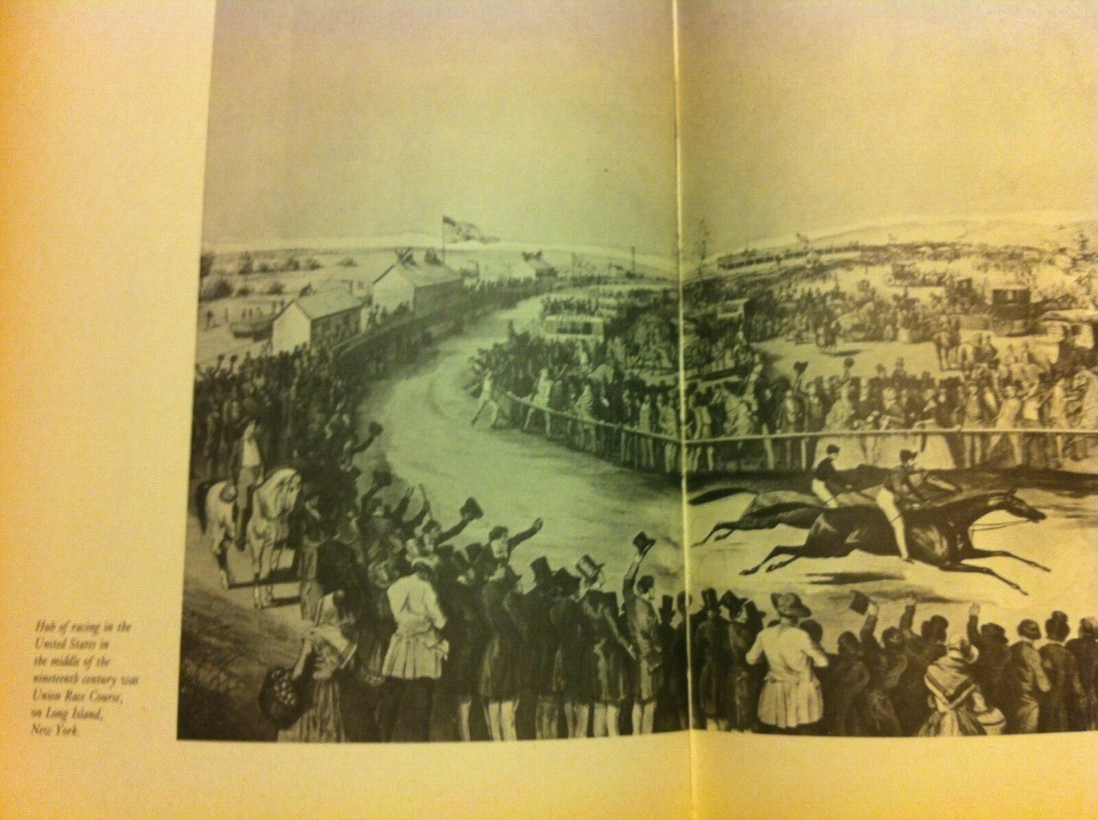 Vintage Horse Racing Book 'The Thoroughbred World' | eBay