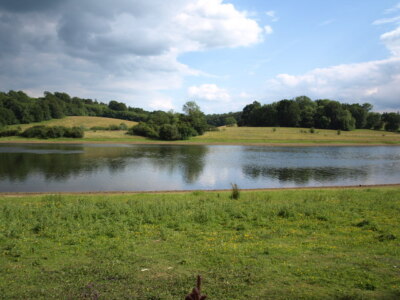 Foto 6x4 Westlichster Punkt des Bewl Stausees Cousley Wood c2009