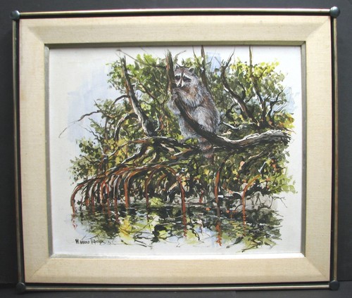 "Racoon in Mangrove" original oil painting by William H Hancock (Amer 1920-2006) - 第 1/5 張圖片
