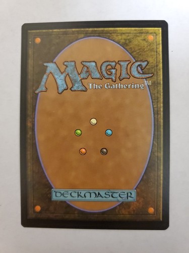 MTG Magic The Gathering Card Ixallis Diviner Creature Human Druid Green Ixalan - Picture 2 of 2
