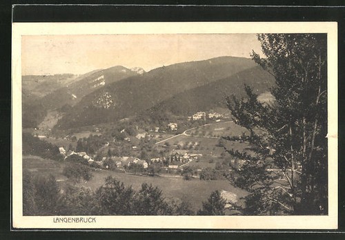AK Langenbruck, Teilansicht mit Bergen 1920 - Bild 1 von 2