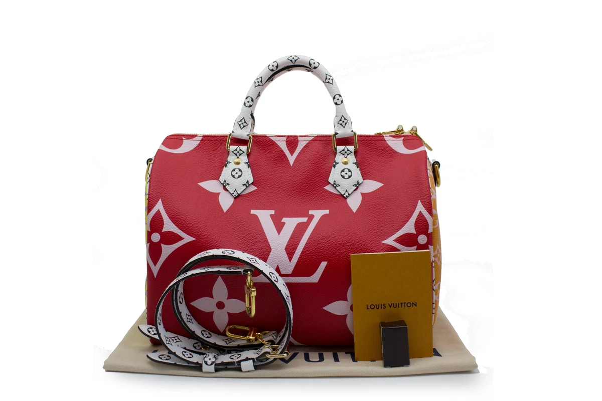 LOUIS VUITTON Monogram Speedy 30 Handbag - GHW