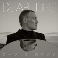 David Gray - Dear Life - Vinyl Record Vl - G3Z
