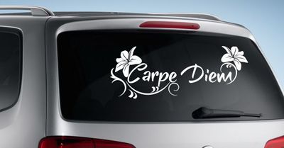 Aufkleber Glas Lack Auto Heckscheibe CAR Style Tattoo Tribal Carpe Diem 44