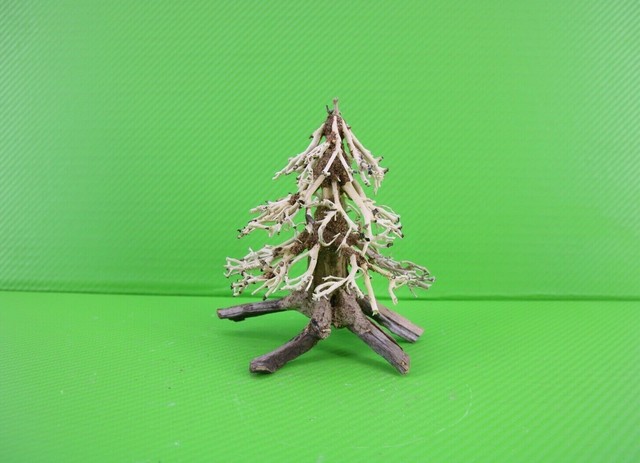 freshwater driftwood for sale