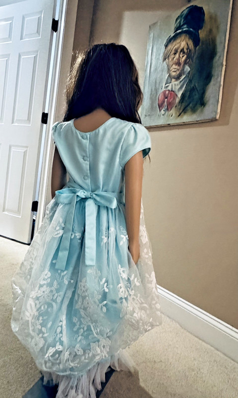 Vintage Jona Michelle with White Formal Embroidery and White Tulle Petticoat 8