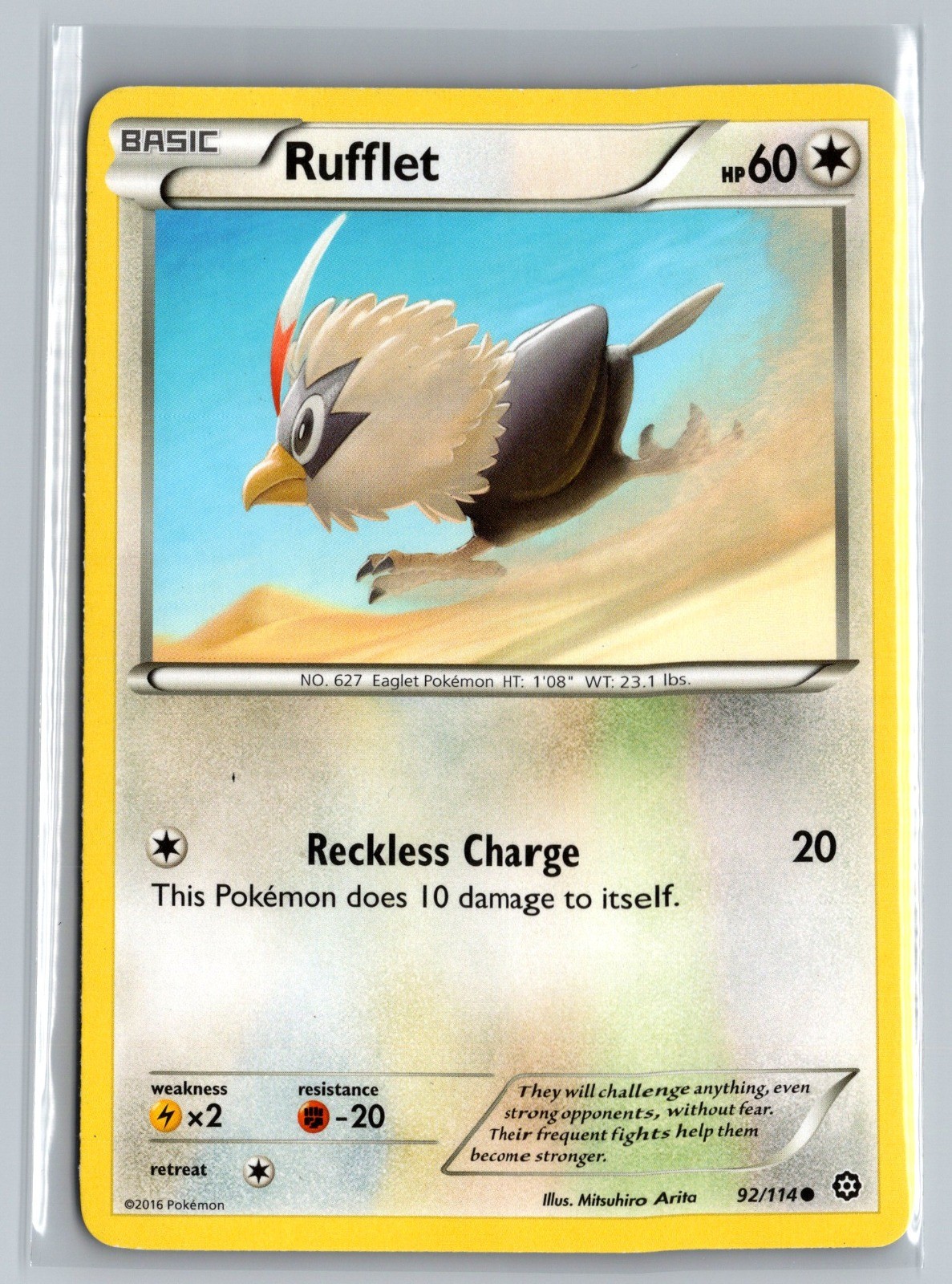 Rufflet Common XY - Steam Siege 92/114 LP