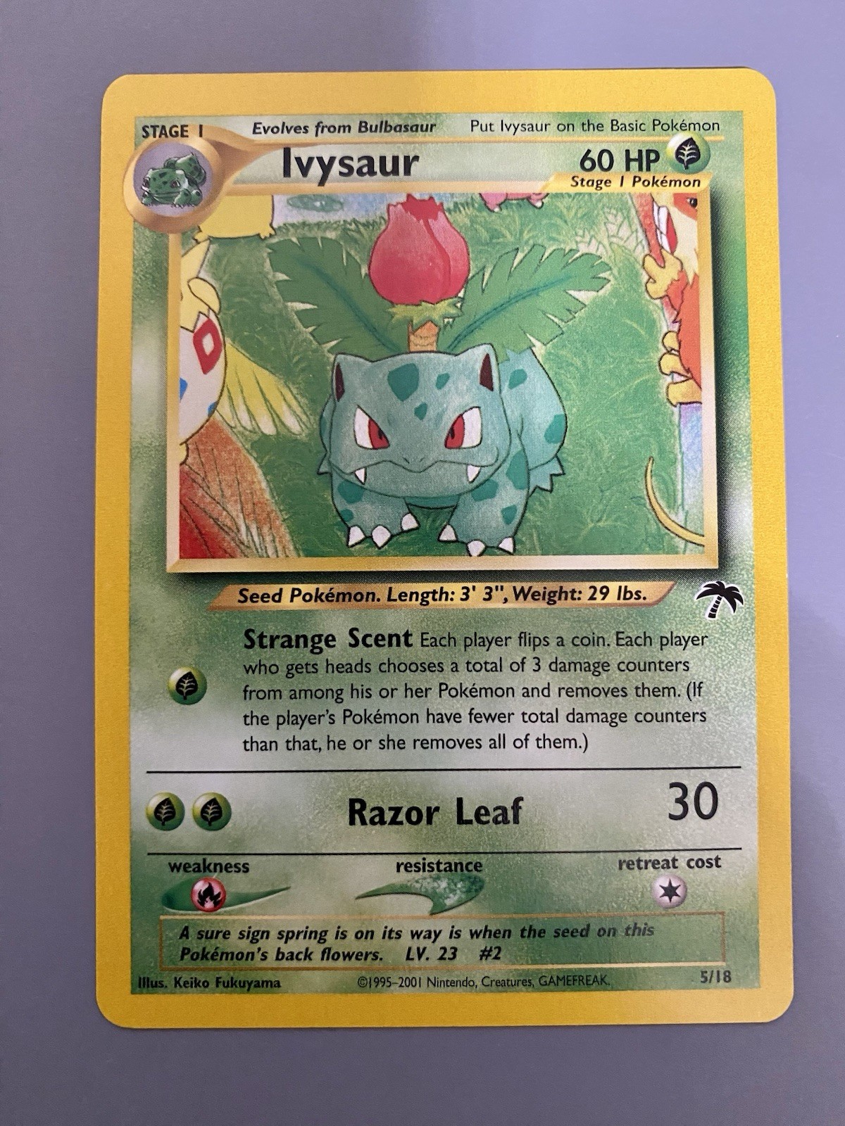 Ivysaur 5/18 Southern Islands Rare Vintage Pokemon Card - NM