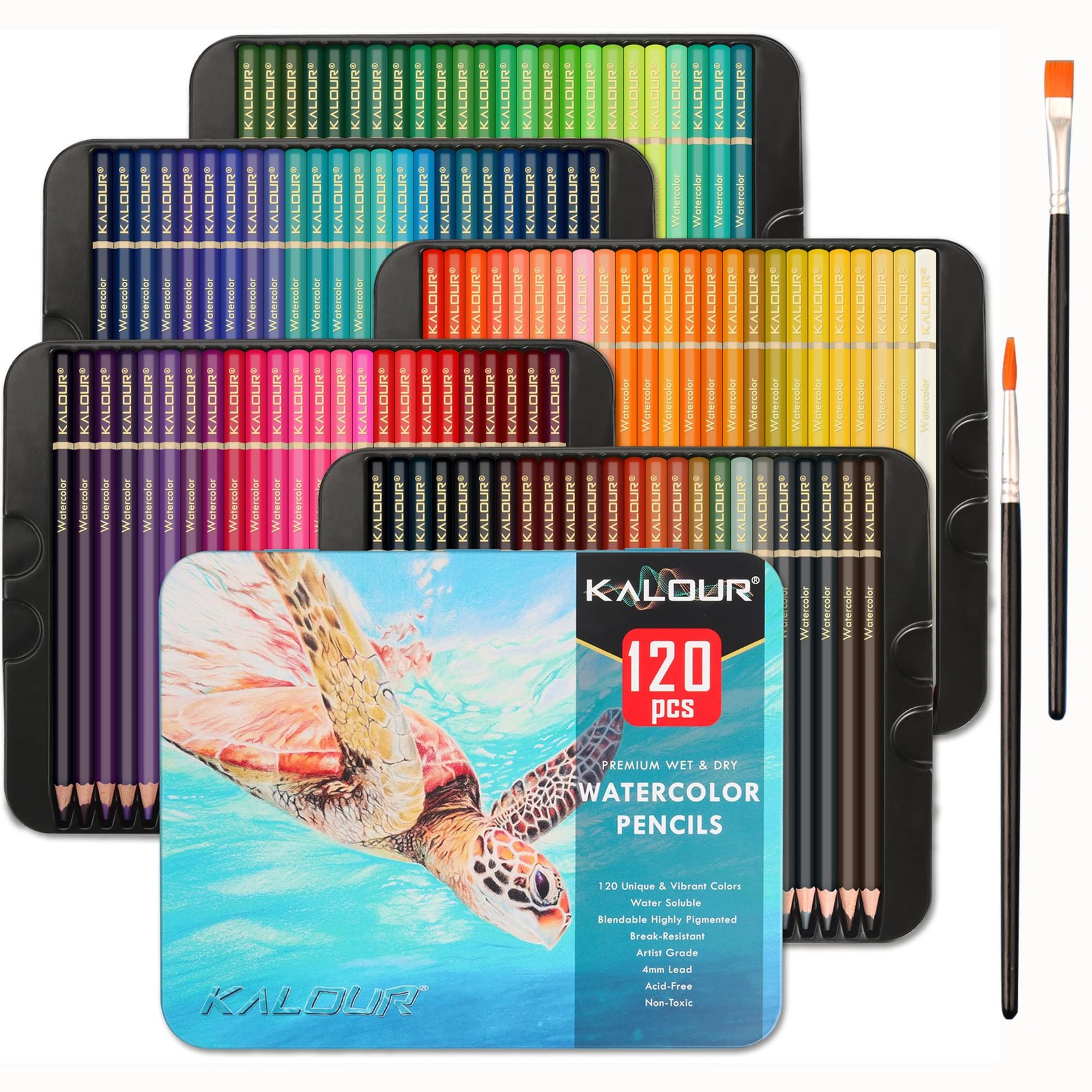 Blendable Wet Or Dry Water Soluble Art Set