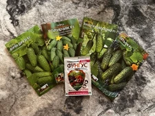 Set of large packs of Ukrainian cucumber seeds