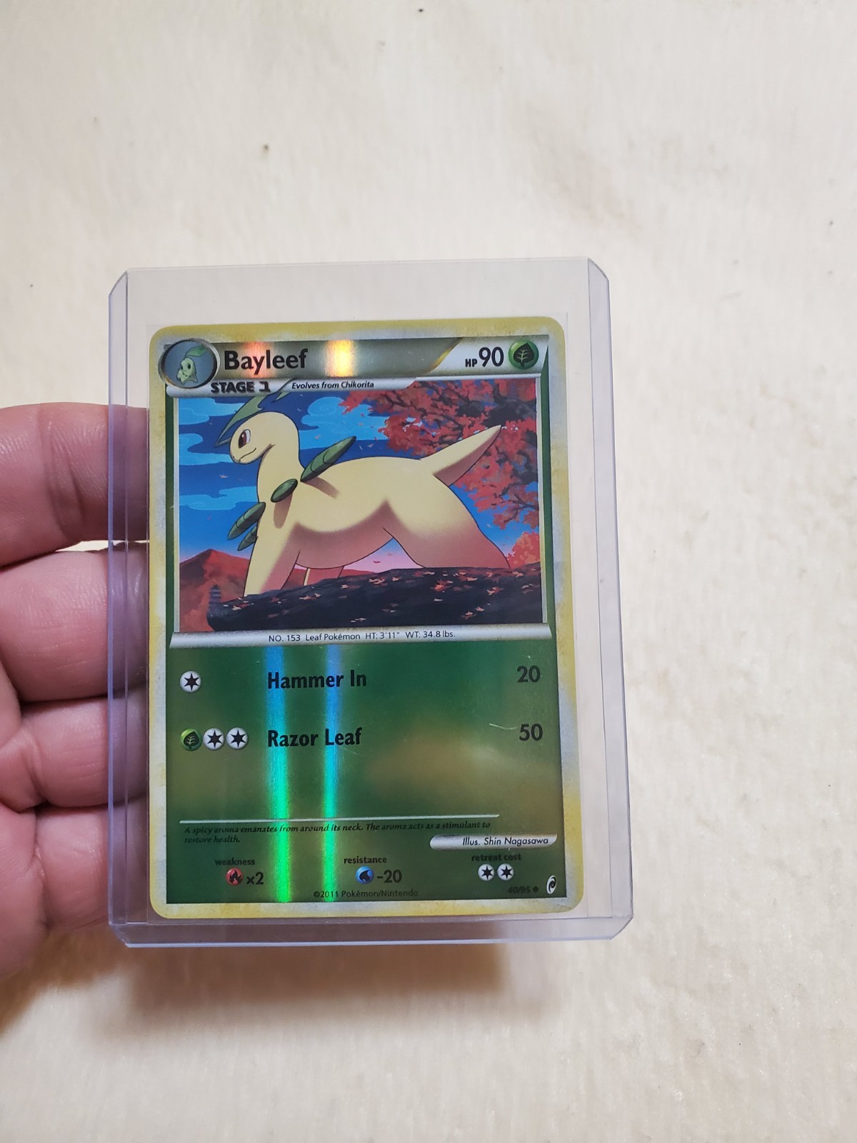 Pokemon TCG Call Of Legends Bayleef 40/95 Reverse Holo LP