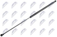 NTY Heckklappen DäMpfer Gasfeder Kofferraum AE-CT-009 FüR CitroËN Xsara Picasso