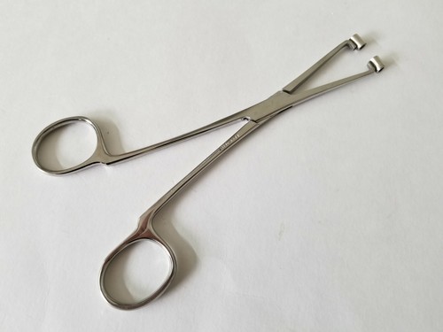 Septum Forceps 6" Strumenti chirurgici piercing corpo - Foto 2 di 4