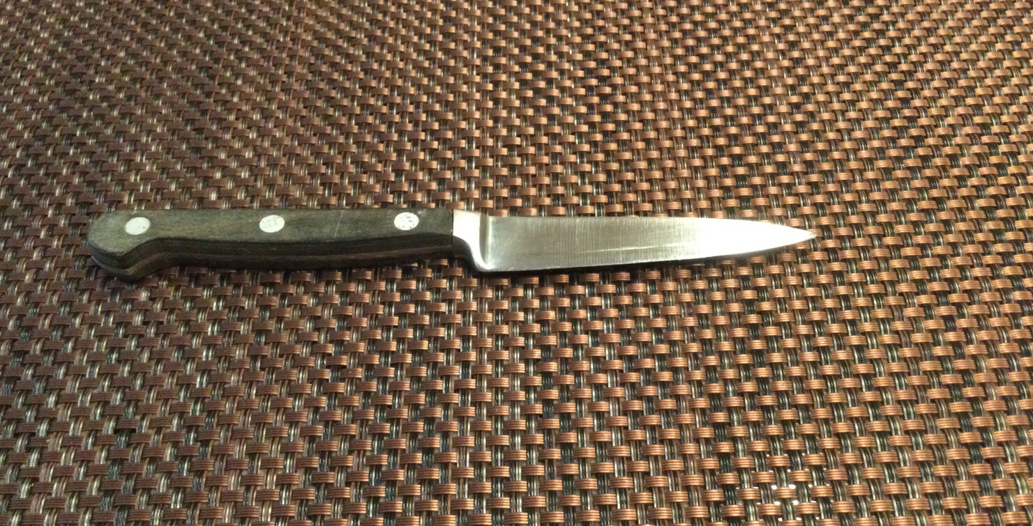 Vintage Wood Handle Wusthof Dreizack 3.5” Paring Knife Solingen 4066