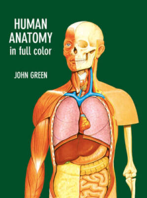 Human Anatomy in Full Color (Dover Children's Science Books) - VERY GOOD