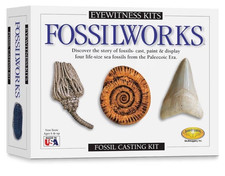 Skullduggery Eyewitness Kits Fossilworks Fossil Casting Kit Made in USA