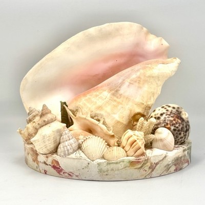 VTG MCM 60's Kitsch Sea Shell TV Lamp With Conch Shell, Coral COASTAL ...