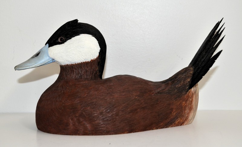 Awesome JIM RUTLEDGE LIFE SIZE RUDDY DUCK DRAKE CARVING DECOY Wood sculpture