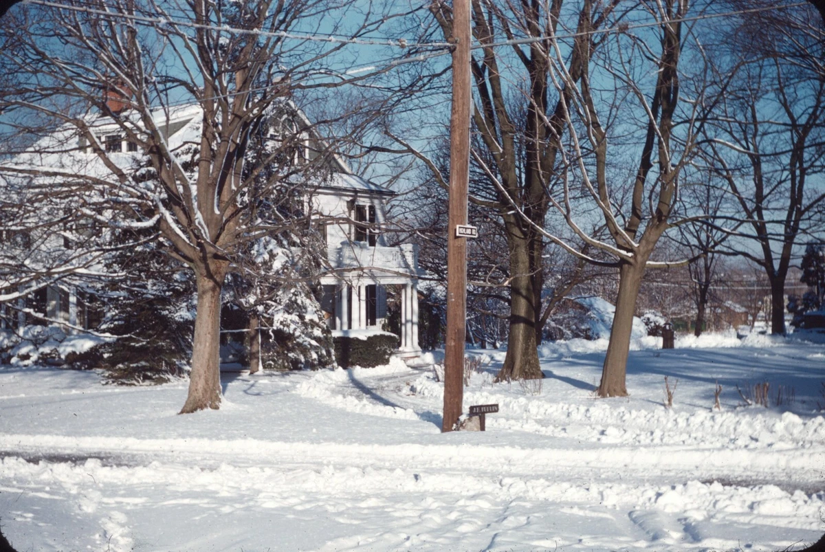 Frozen tree house hot sale