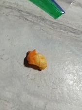 Un escargot de guétos