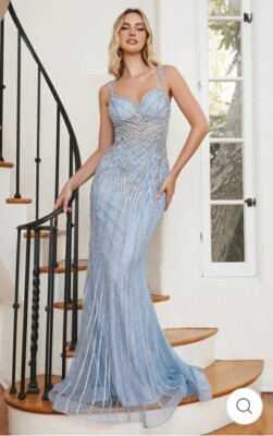 Cinderella Divine Dress- Style CD968 NWT Size 2 V-Neck Fitted Mermaid Skirt  | eBay
