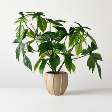 Large Philodendron Pedatum Artificial Plant - Hearth & Hand with Magnolia
