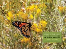 Wings in the Light: Wild Butterflies in North America by Myers, David Lee