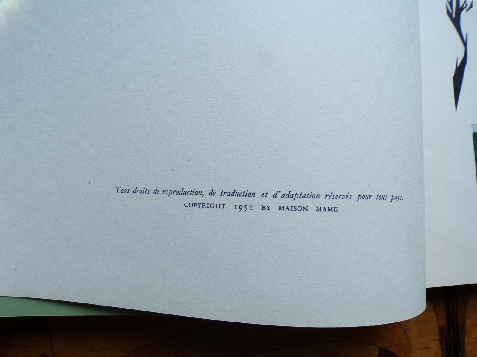 Picture 6 of 12