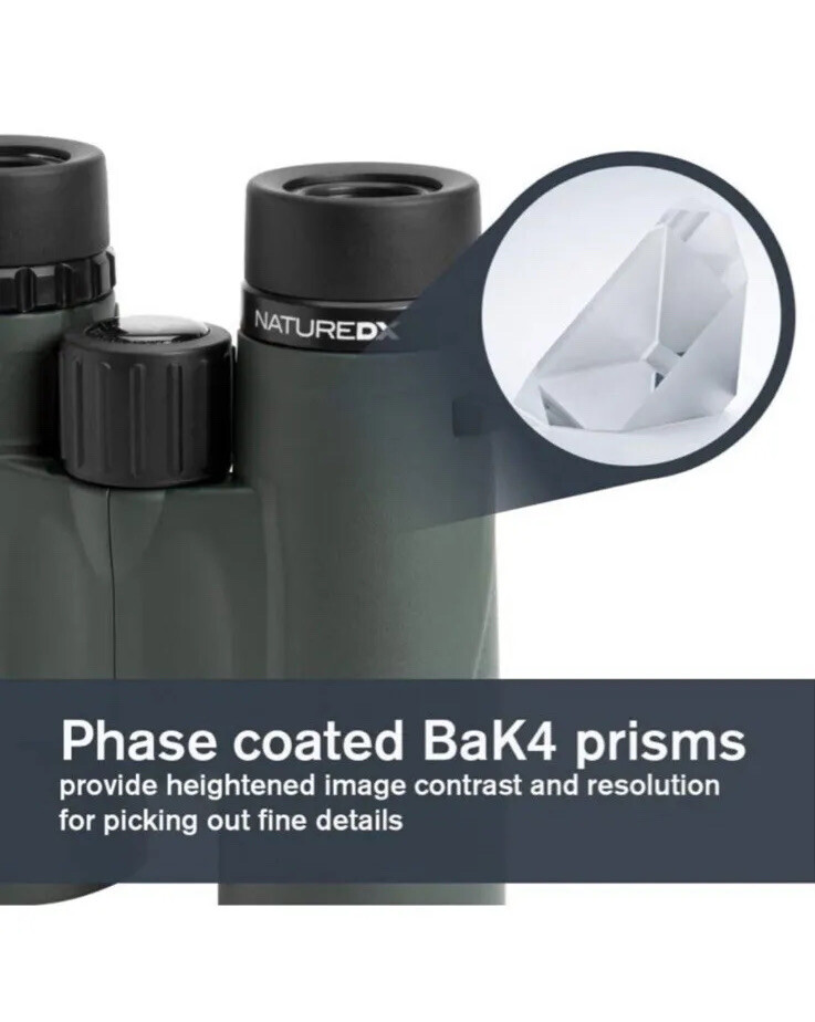 Are Roof Prism Binoculars Recommended for Beginners? Discover Essentials