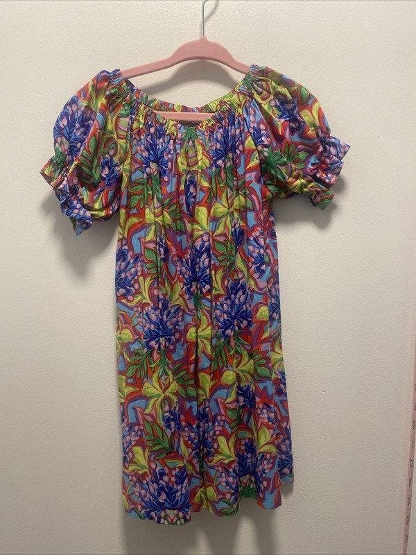 haley and the hound dress Girls Size 2 NWT Multicolor