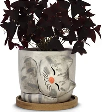 Animal - Large Kitty Pot Barney Purrfect for Indoor Live House Plants Succule...