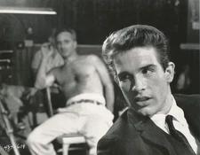 WARREN BEATTY DIRECTOR ELIA KAZAN Original 61 CANDID SPLENDOR IN THE GRASS Photo