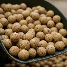 Cream Seed 24mm 5KG - Boilies - Fishing Bait 6.00 per kilo