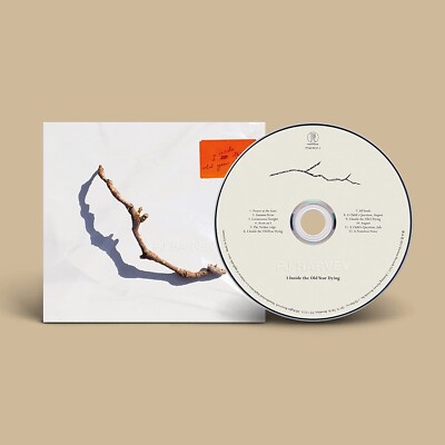 PJ HARVEY -  I Inside The Old Year Dying CD NEU OVP
