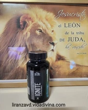 SUPLEMENTO / IGNITE./ sabor latino