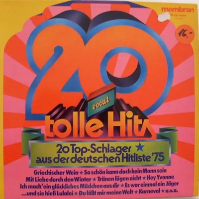 Unknown Artist 20 Tolle Hits Vocal Membran Vinyl LP