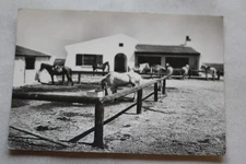 Cpm, Saintes Maries de la mer, hôtel club de l'Etrier Camarguais, Bouches du Rhô