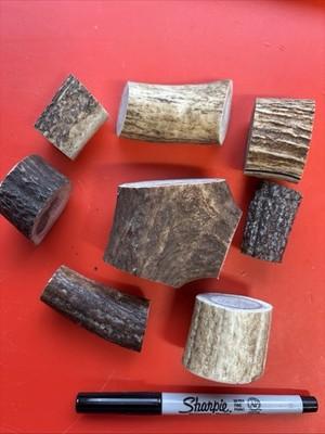 Lot-A160 Elk Antlers Cut for Rings Jewelry Making Crafts