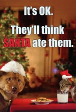Dog and Cat Eating Santas Cookies Box of 12 Humorous  Funny Christmas Cards
