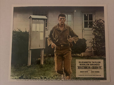 REFLECTIONS IN A GOLDEN EYE LOBBY CARD STILL ELIZABETH TAYLOR MARLON BRANDO s1