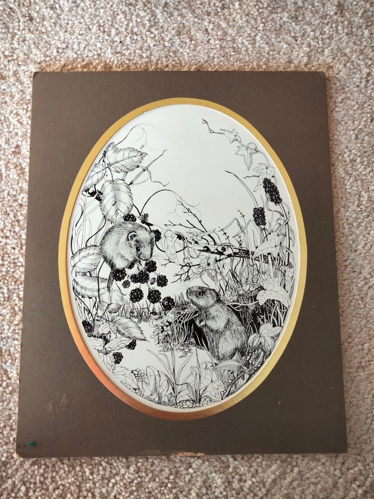 Picture 4 of 11