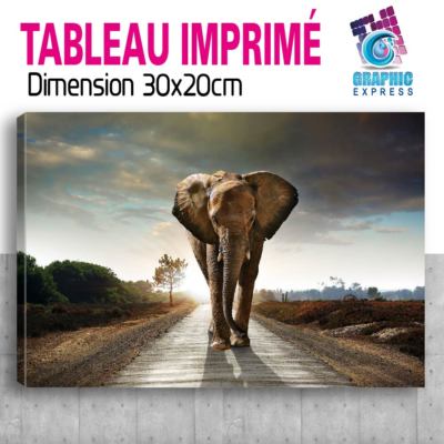 Kit Déco 5 Tableaux Sur Toile : Motif éléphant D'Afrique, Ambiance Savane Garantie !